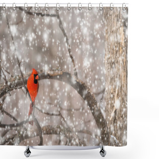 Personality  Red Bird On Snow Against Winter Landscape Shower Curtains
