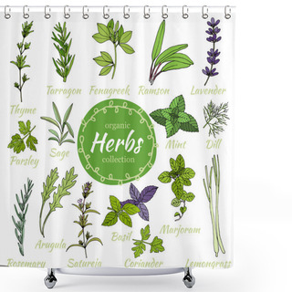 Personality  Vector Collection Of Herbs. Shower Curtains