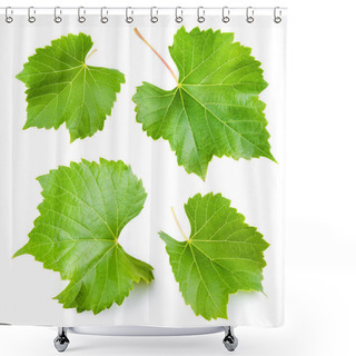 Personality  Grape Leaves Isolated On White. Collection Shower Curtains