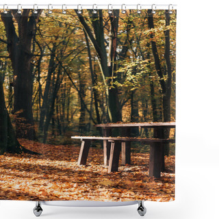 Personality  Sunshine On Fallen Leaves Near Wooden Benches And Table In Forest  Shower Curtains