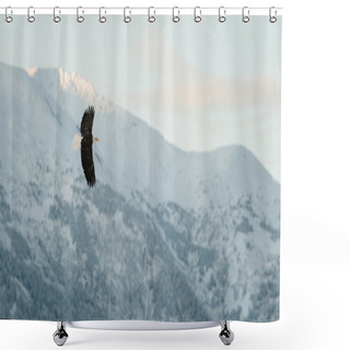 Personality  Flying Bald Eagle. Shower Curtains