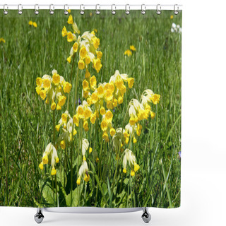 Personality  Yellow Primroses Flowers On Green Meadow Shower Curtains