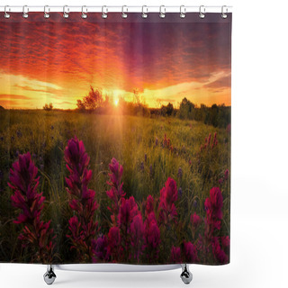 Personality  Rural Texas Indian Paintbrushes  At Sunrise Shower Curtains