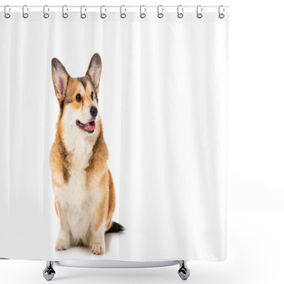 Personality  Cute Welsh Corgi Pembroke Looking Away Isolated On White Background  Shower Curtains