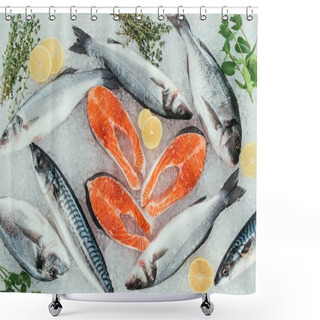 Personality  Top View Of Assorted Organic Seafood And Ingredients On Ice Shower Curtains