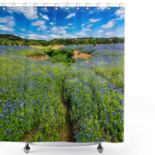 Personality  Wide Angle View Of Famous Texas Bluebonnet (Lupinus Texensis) With Canyon Shower Curtains