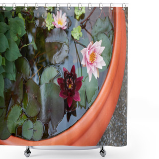 Personality  Nymphaea Plants In A Tub Pond Shower Curtains