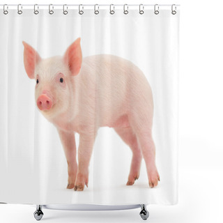 Personality  Pig On White Shower Curtains
