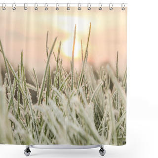 Personality  Frozen Blades Of Grass Shower Curtains