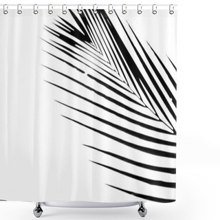 Personality  Closeup Coconut Shadow, On Isolated White Background. Palm Leaf Silhouette. Shower Curtains