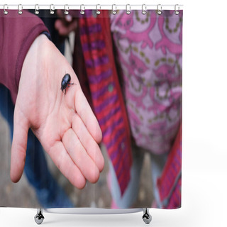 Personality  Person Holding A Black Beetle On The Palm Of Their Hand Outdoors In A Concept Of The Appreciation Of Insects And Nature Shower Curtains