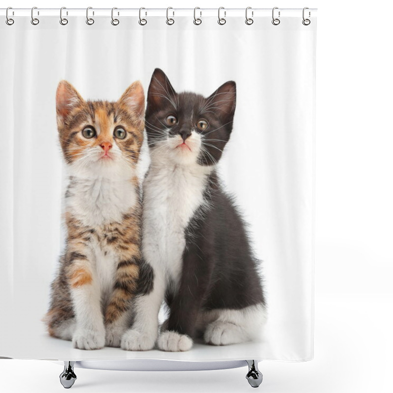 Personality  Two Kitten Sitting Shower Curtains