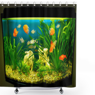 Personality  The Close Up Of Aquarium Tank Full Of Fish Shower Curtains