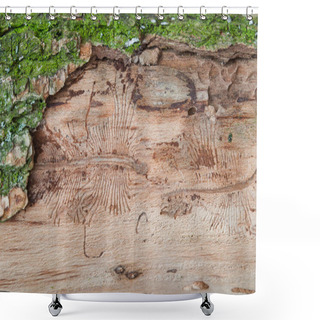 Personality  The Imprint Of The Bark Beetle Under The Bark Of The Tree Shower Curtains