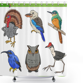 Personality  Cartoon Illustration Of Comic Birds Animal Species Characters Set Shower Curtains