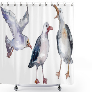 Personality  Sky Bird Seagull In A Wildlife. Wild Freedom, Bird With A Flying Wings. Watercolor Background Illustration Set. Watercolour Drawing Fashion Aquarelle Isolated. Isolated Gull Illustration Element. Shower Curtains