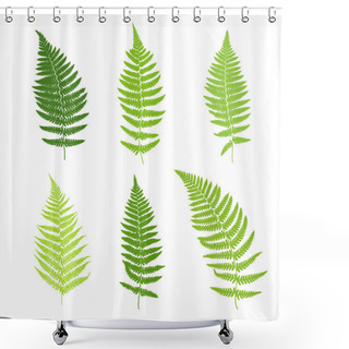 Personality  Set Of Fern Frond Silhouettes. Shower Curtains