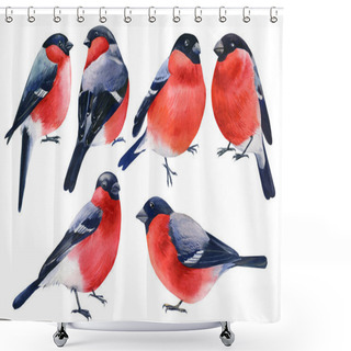 Personality  Set Of Birds, Bullfinches On An Isolated White Background, Watercolor Illustration Shower Curtains