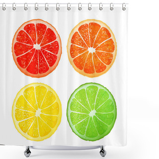 Personality  Citrus Fruits, Vector Design Shower Curtains