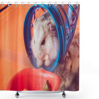 Personality  Funny Hamster Eating Nut While Sitting In Blue Plastic Tunnel Shower Curtains