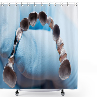 Personality  Metal Basis Denture Shower Curtains