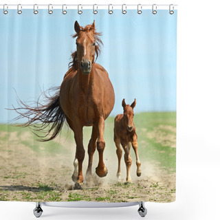 Personality  Horse Hurrying At A Gallop Shower Curtains