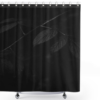 Personality  Black And White Flowers And Plants In Forest Shower Curtains