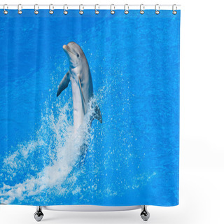 Personality  Dolphin Shower Curtains