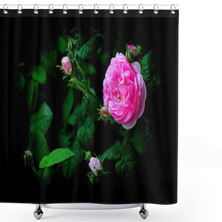 Personality  City Flowers. Shower Curtains