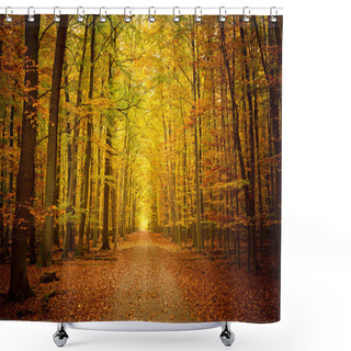 Personality  Pathway In The Autumn Forest Shower Curtains