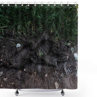 Personality  Footprints On Ground With Mud Near Green Grass  Shower Curtains