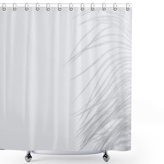 Personality  Weightless And Soft Feather Isolated On White With Copy Space Shower Curtains