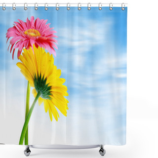 Personality  Two Gerberas Shower Curtains