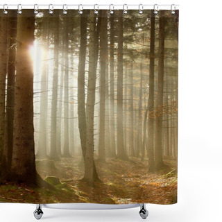 Personality  Magic Forest Shower Curtains