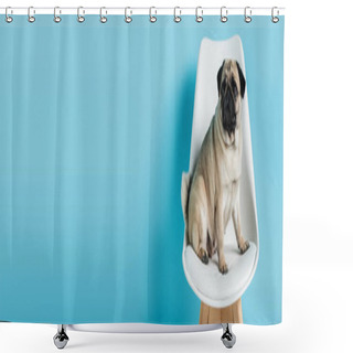 Personality  Fawn Color Pug Sitting On White Chair On Blue Background With Copy Space, Banner Shower Curtains