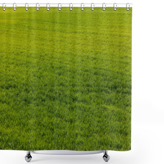Personality  Fresh And Green Lawn With Grass In Summer  Shower Curtains