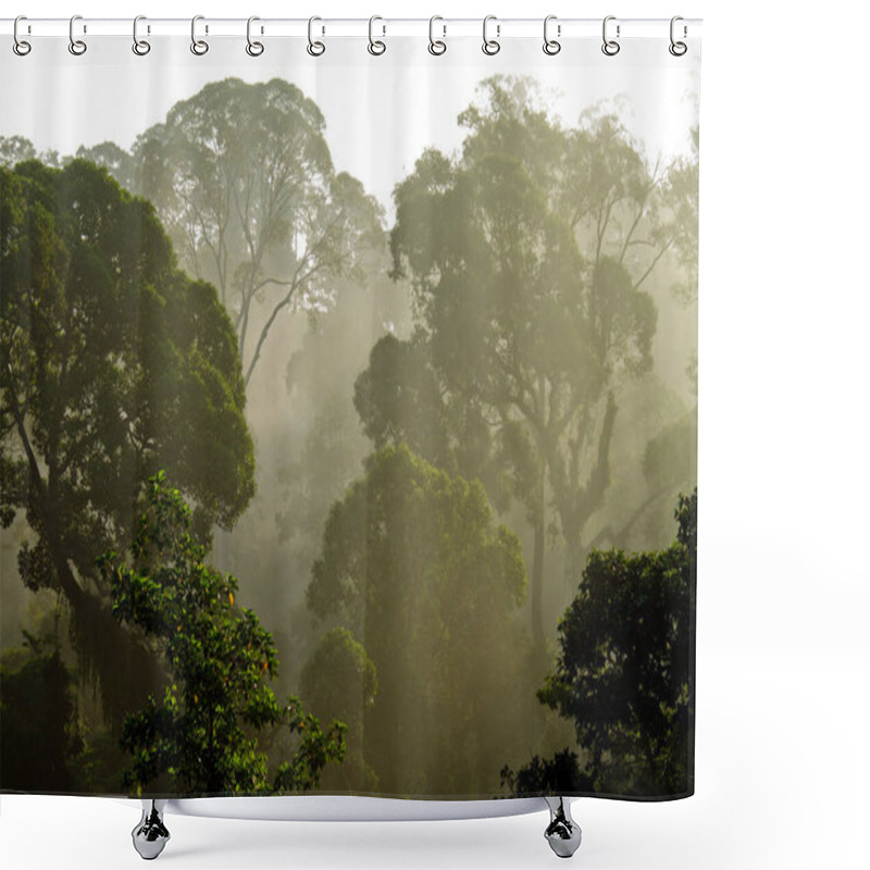 Personality  Aerial View Of The Primary Rainforest Of Borneo Shower Curtains