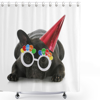 Personality  Birthday Dog Shower Curtains