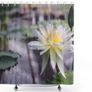 Personality  Closeup Shot Of A Flower Called Indian Lotus Blooming On Water Shower Curtains