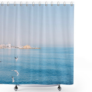 Personality  BARCELONA, SPAIN - DECEMBER 28, 2018: Scenic View Of Tranquil Blue Sea With Flying Seagulls Shower Curtains