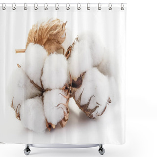 Personality  Fluffy Cotton Ball Of Cotton Plant On A White Background. Shower Curtains