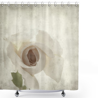 Personality  Textured Old Paper Background With Rale Rose Flower Shower Curtains