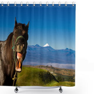 Personality  Funny Horse With A Silly Expression On It's Face Shower Curtains