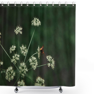 Personality  Selective Focus Of Bee On Flowers With Blurred Background Shower Curtains