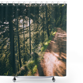 Personality  Beautiful Green Trees And Footpath In Indian Himalayas, Dharamsala, Baksu Shower Curtains
