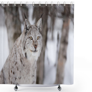 Personality  Proud Lynx In A Winter Forest Shower Curtains