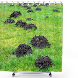 Personality  Many Fresh Mole Digs In A Green Meadow Shower Curtains