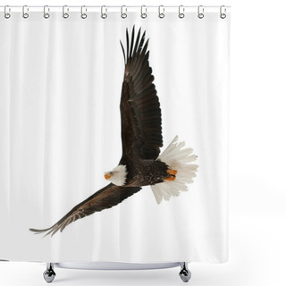 Personality  The Bald Eagle (Haliaeetus Leucocephalus) Shower Curtains