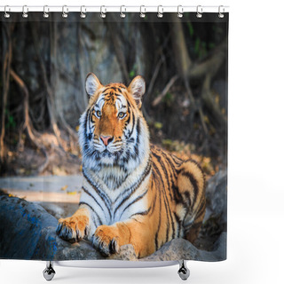Personality  Bengal Tiger Shower Curtains