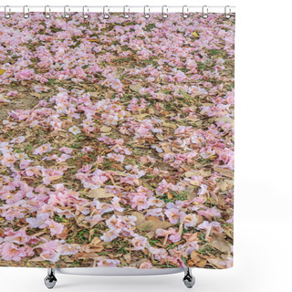 Personality  Tabebuia Roses Pink Flowers Shower Curtains